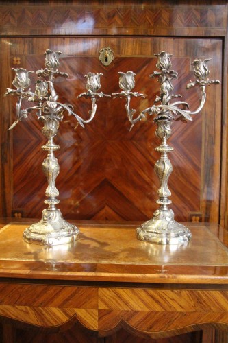 Paire de candélabres en bronze argenté, première moitié du XIXe siècle - Didascalies