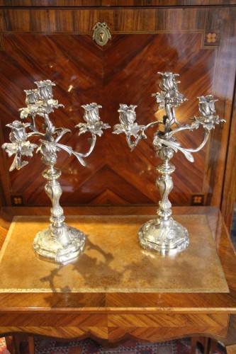 XIXe siècle - Paire de candélabres en bronze argenté, première moitié du XIXe siècle