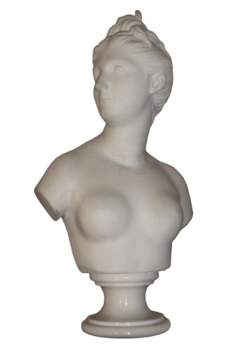 Buste en marbre de Diane Chasseresse d'après Houdon, XIXe