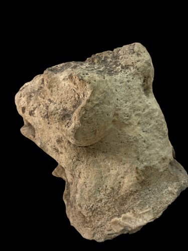 Architectural & Garden  - Gothic architectural fragment of a dog&#039;s head (France?)