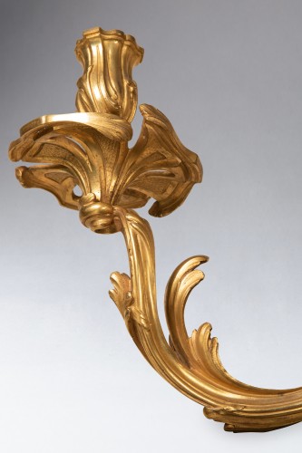 Louis XV - Paire d'appliques époque Louis XV milieu XVIIIe siècle