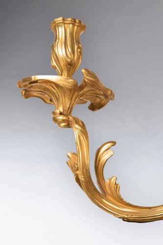 Antiquités - Paire d'appliques époque Louis XV milieu XVIIIe siècle