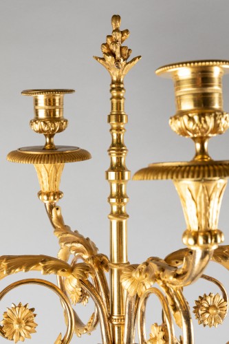 Antiquités - Paire de grands candélabres époque Louis XVI
