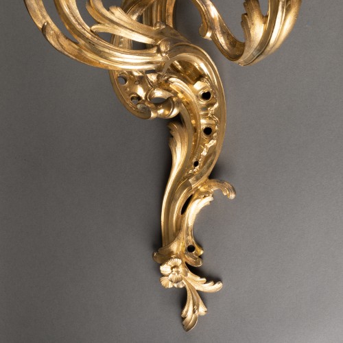 Louis XV - Paire d'appliques époque Louis XV milieu XVIIIe siècle