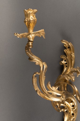 Antiquités - Paire d'appliques époque Louis XV milieu XVIIIe siècle