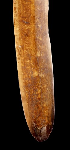 XVIIIe siècle - Énorme et exceptionnel couperet à glace esquimau en défense de morse