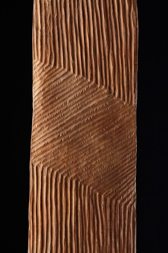 Tribal Art  - A Western Australian Aboriginal Shield 