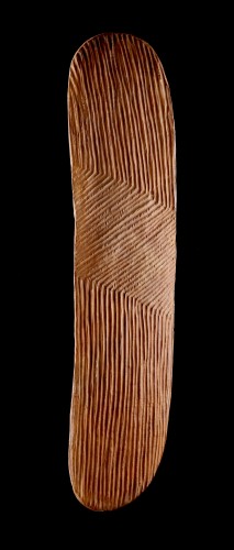 19th century - A Western Australian Aboriginal Shield 