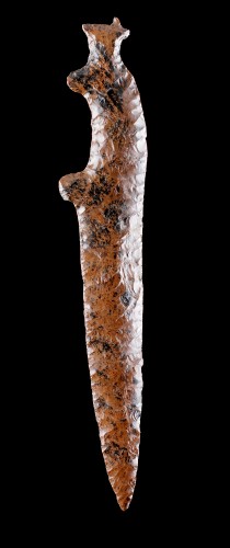 Silex "acajou" en forme d'animal - Objets de Curiosité Style 
