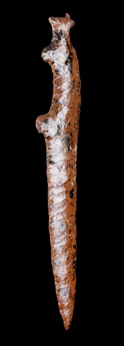Objets de Curiosité  - Silex "acajou" en forme d'animal