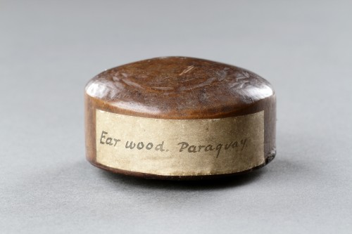 Antiquités - A Rare Wood Ear Ornament