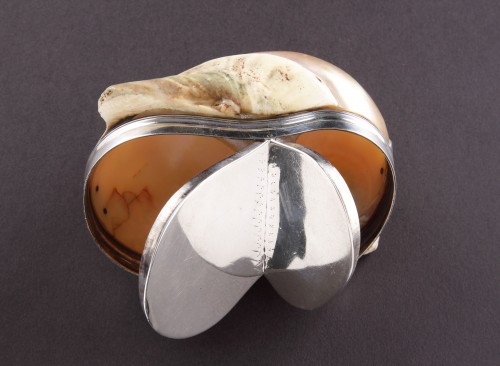 Netherlands Silver Mounted Table Snuff Box - 