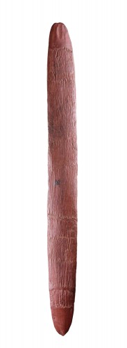 Bouclier aborigène