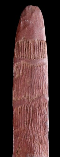 Tribal Art  - Aboriginal Central Desert Region Early and Exceptionally Narrow Shield