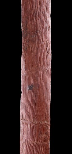 19th century - Aboriginal Central Desert Region Early and Exceptionally Narrow Shield