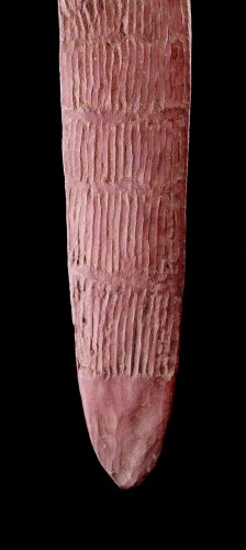 Aboriginal Central Desert Region Early and Exceptionally Narrow Shield - 