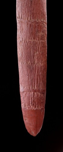  - Aboriginal Central Desert Region Early and Exceptionally Narrow Shield
