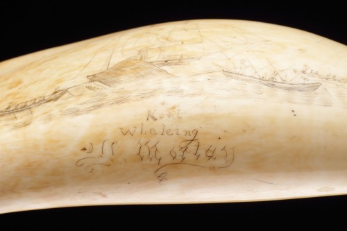  - Pair of Matched Sailors Scrimshaw Sperm Whale Teeth 