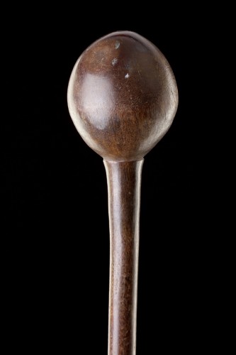 19th century - South African Zulu Ceremonial Carved Rhinoceros Horn Prestige Knobkerrie 