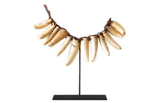 Fijian Sperm Whale Tooth Necklace ‘Vuasagale’