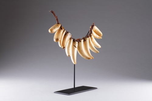Fijian Sperm Whale Tooth Necklace ‘Vuasagale’ - Tribal Art Style 