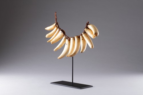Tribal Art  - Fijian Sperm Whale Tooth Necklace ‘Vuasagale’