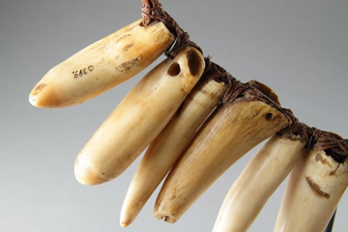 Fijian Sperm Whale Tooth Necklace ‘Vuasagale’ - 