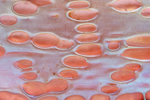 Viennese Art Nouveau bowl Johann Loetz Witwe Orbulin decoration ca. 1900 - 