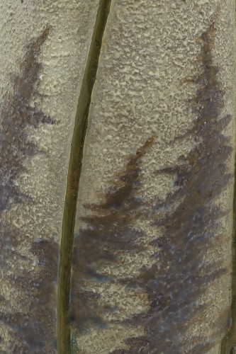 Porcelain & Faience  - Vase Paul Dachsel attr. Amphora Werke ca. 1907/10