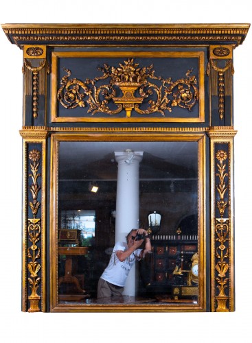 Large paneled mirror