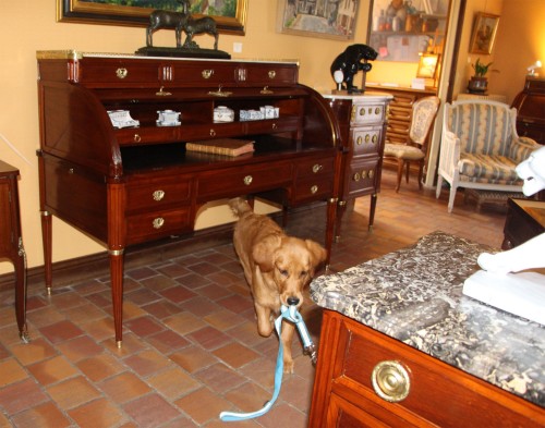 Large Louis XVI Cylinder Desk - 