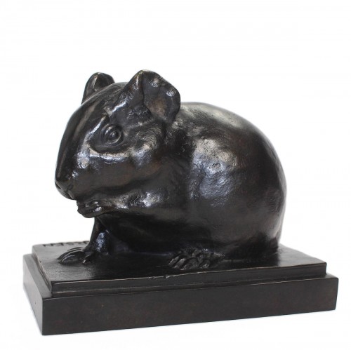 Armand Petersen (1891-1969) - Guinea pig