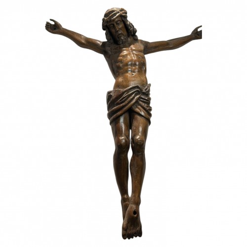 Flemish oak corpus