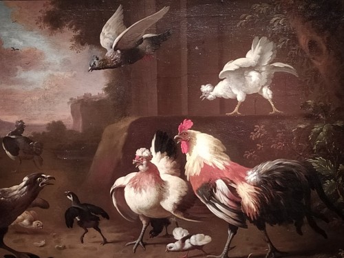 Farmyard Scene - Melchior Hondecoeter (1636 -1695) - Paintings & Drawings Style 