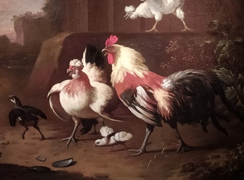 Paintings & Drawings  - Farmyard Scene - Melchior Hondecoeter (1636 -1695)