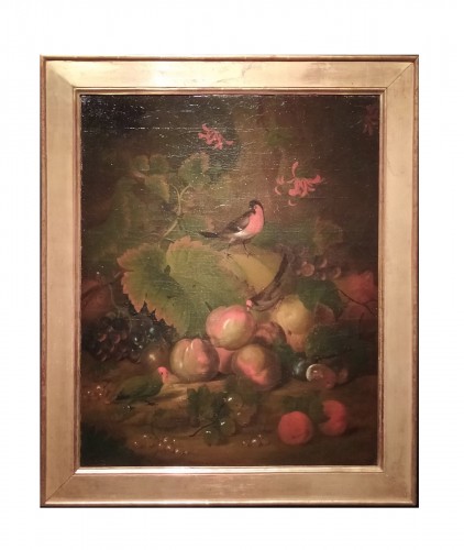 Nature morte aux Fruits et Perruches - Ecole française du XIXe siècle