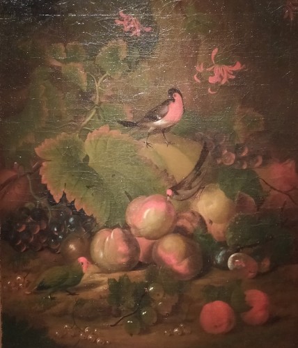 Nature morte aux Fruits et Perruches - Ecole française du XIXe siècle - Tableaux et dessins Style 