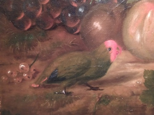 Paintings & Drawings  - Still Life with Fruits and Parakeets - French School of the 19th Century