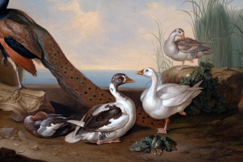 Paintings & Drawings  - Birds in a Lakeside Landscape. Jakab Bogdány (1660–1724) &amp; Studio