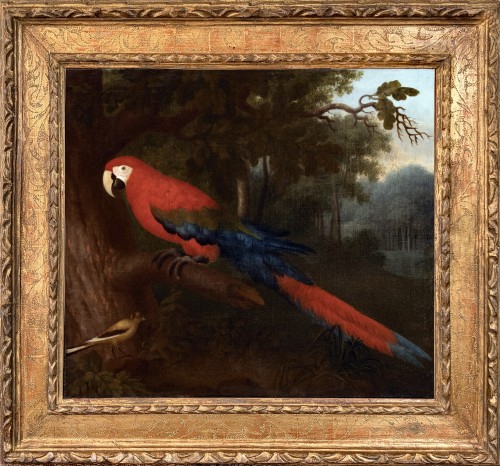 Red Macaw in a Brazilian Landscape.Albert Eckhout (c. 1607-12 – 1665)