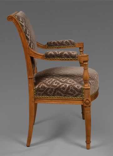 Pair of Directoire armchairs - Seating Style Directoire