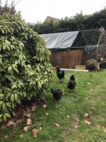 Gilt and Patinated Bronze  Clock With Helmet and Trophies, Empire Period - Horology Style Empire