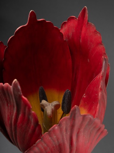 Modèle anatomique de tulipe en papier mâché début du XXe siècle - Objets de Curiosité Style 