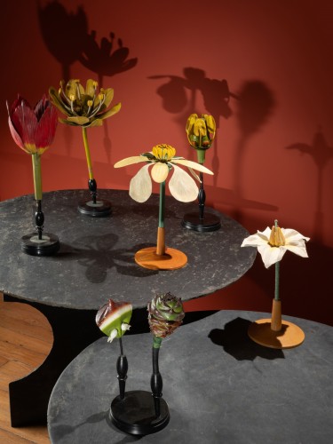 Modèle anatomique de tulipe en papier mâché début du XXe siècle - Galerie Lamy Chabolle