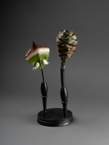 Modèle anatomique d’une pomme de pin, début du XXe siècle - Objets de Curiosité Style 