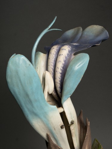 Modèle anatomique d’une fleur de sauge - Brendel Fin du XIXe dbut du XXe siècle - Objets de Curiosité Style 