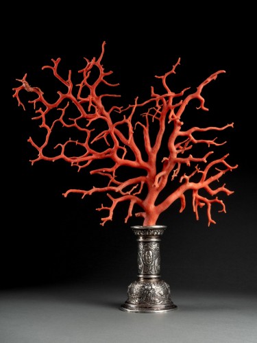 Branche de corail montée sur un pied en argent, Flandres XVIe - Objets de Curiosité Style Renaissance