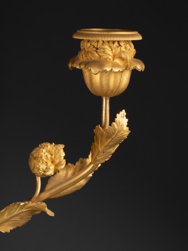 18th century - White Poppy Candelabras – Directoire