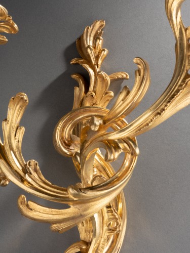 Antiquités - Quatre appliques en bronze doré d'époque Louis XV