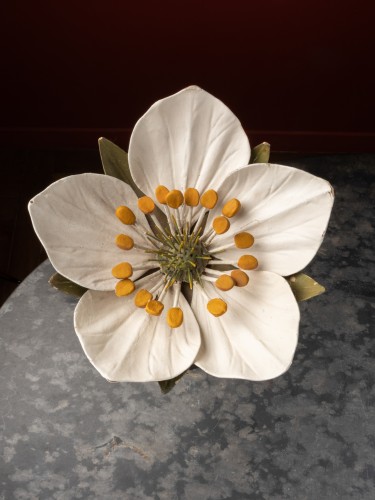 Objets de Curiosité  - Modèle botanique d'une fleur de fraisier par R. & R. Brendel